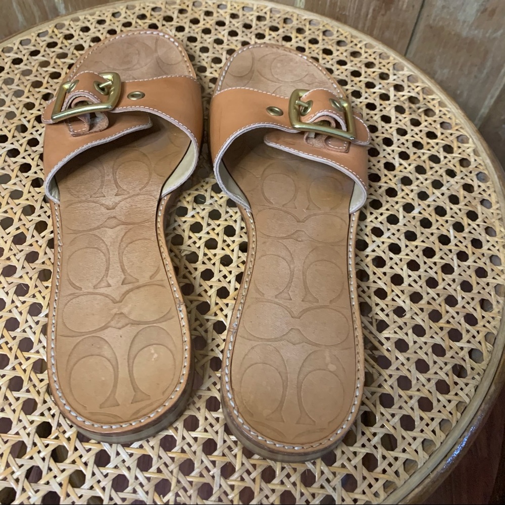 Coach single strap with buckle sandals - Picture 13 of 13
